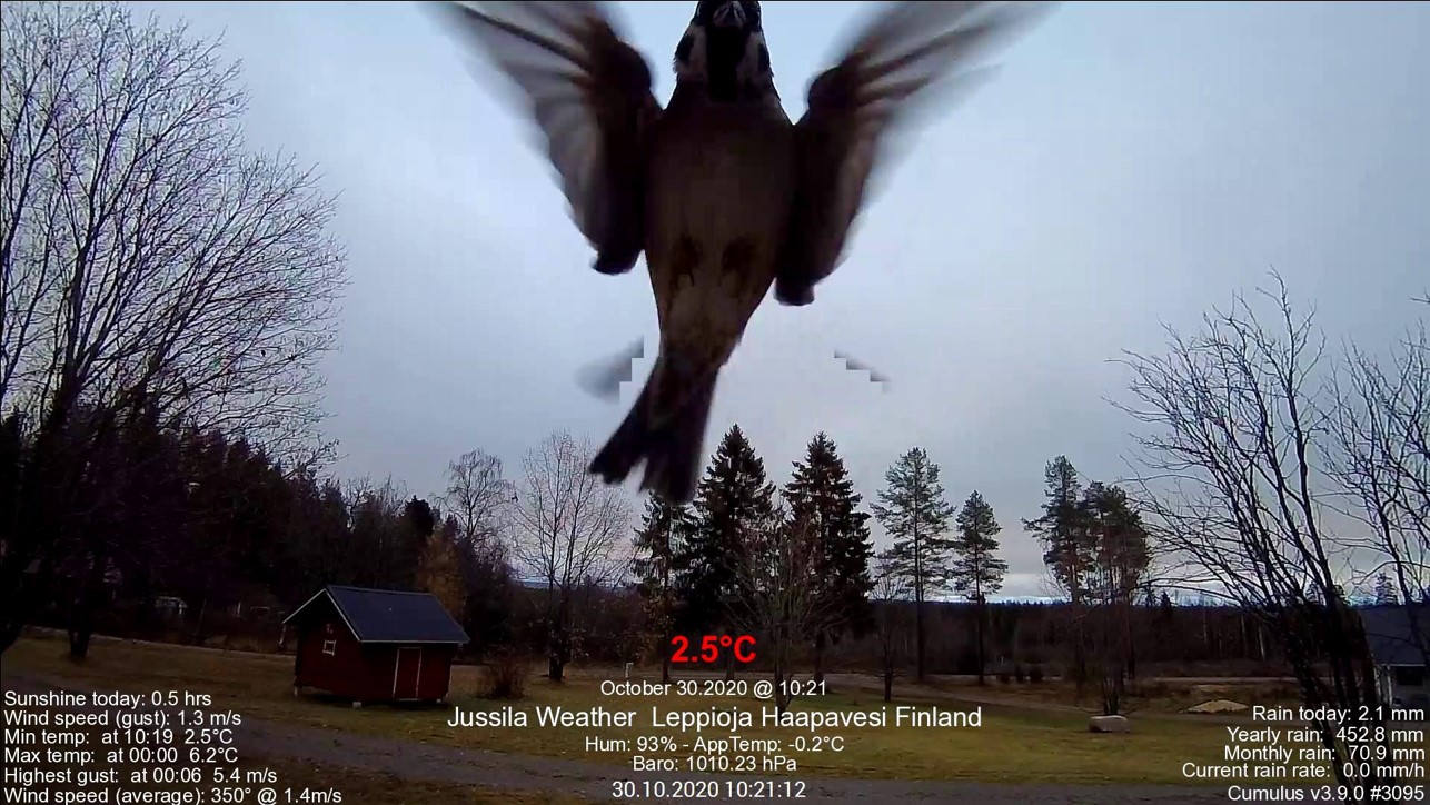 6_30.10.2020 klo 10.21.19.jpg
